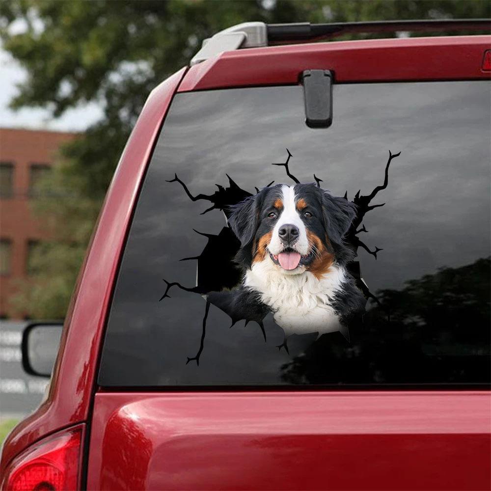 Reflektierende Auto-Karosserie Aufkleber Fenster-Sticker