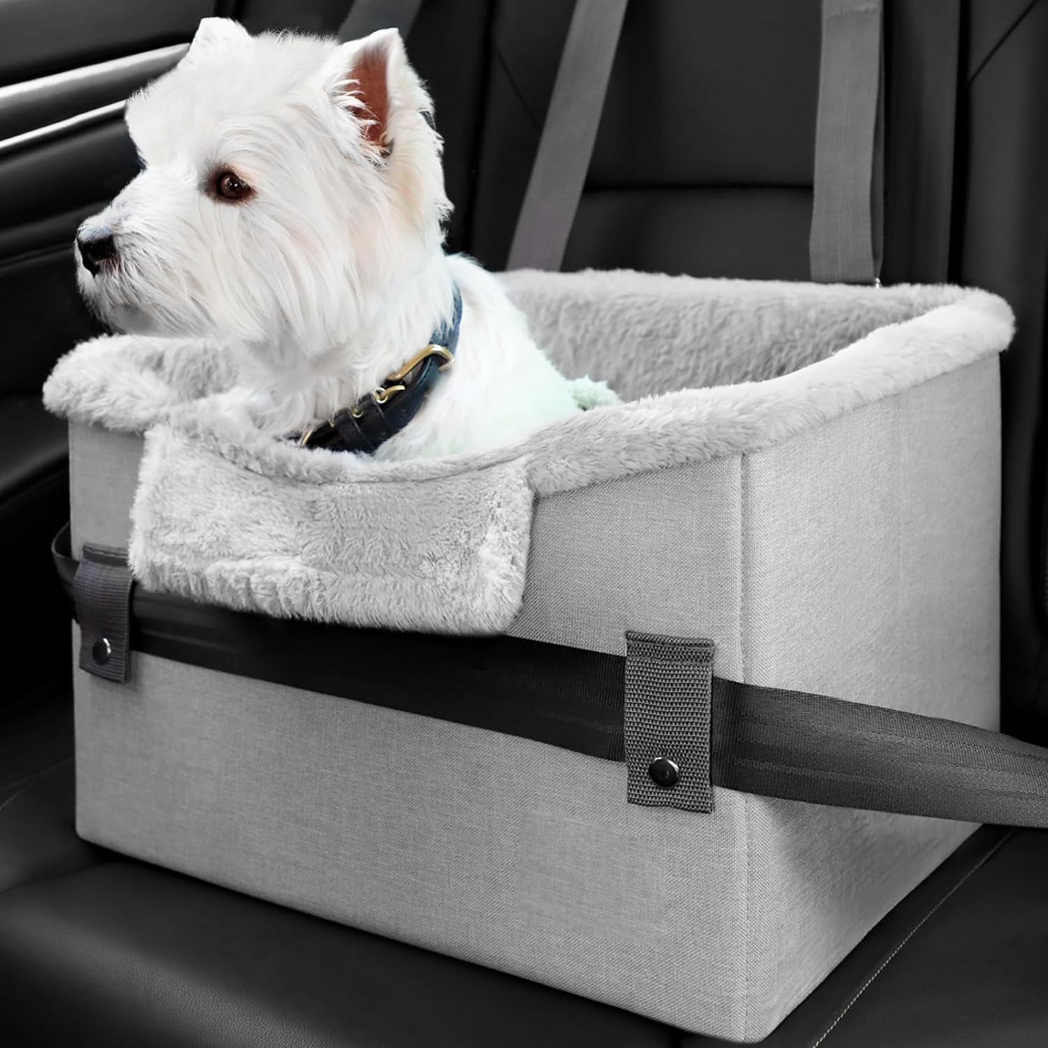 Tragbarer Hunde-Autositz mit Sicherheitsleine – Booster Seat für kleine Hunde bis 11 kg
